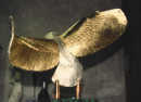 LA CHOUETTE D'OR de Michel BECKER - réalisée en or massif, argent massif et pierres précieuses La chouette vue de dessus